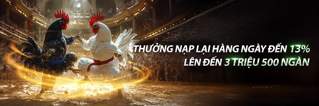 Đấu trường đá gà kịch tính Fun88